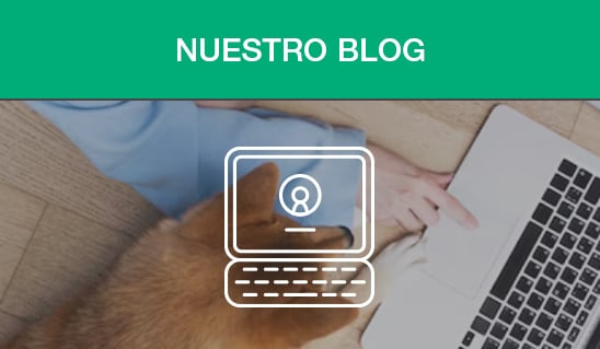 blog